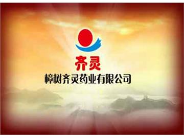 经营模式